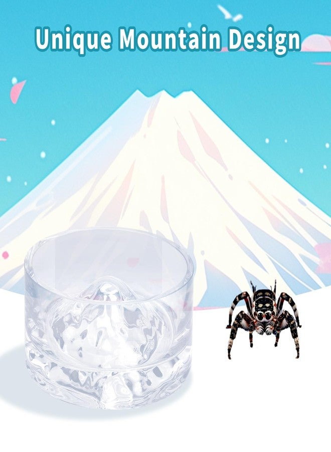 MHLLGN Jumping Spider Enclosure Accessories, 2 Pack Glass Feeding Dish for Food and Water, Little Food Bowl for Jumping Spider, Tarantula, Beetle and Other Small Pets - Image 4